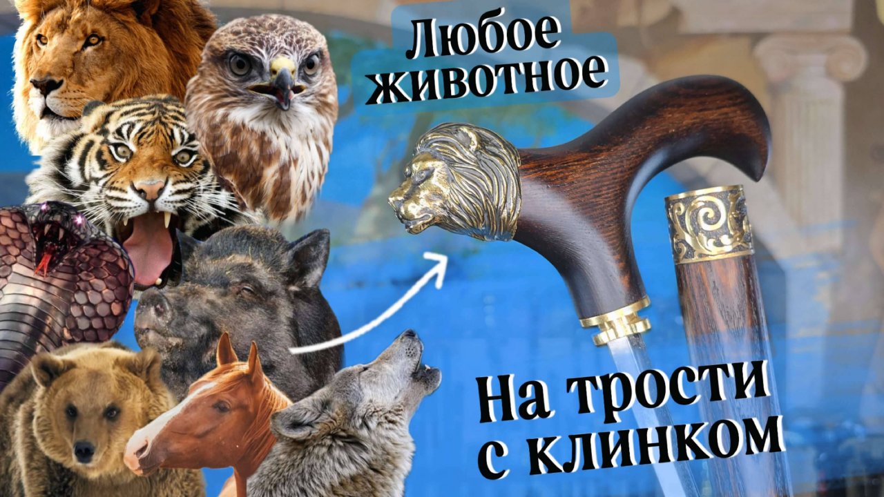 Где можно Купить трость с клинком? | Трости с головой животного