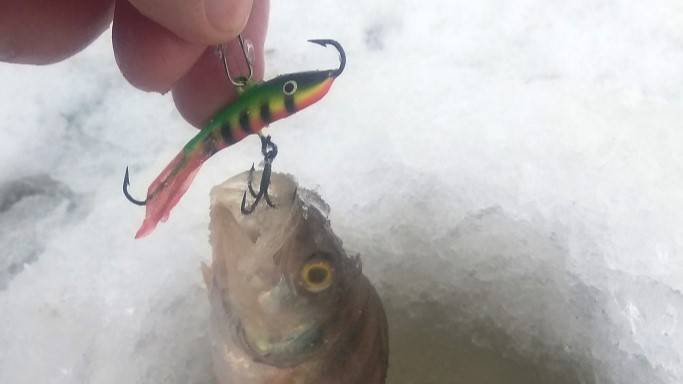 Распаковка посылки с балансирами Aqua Classic-5