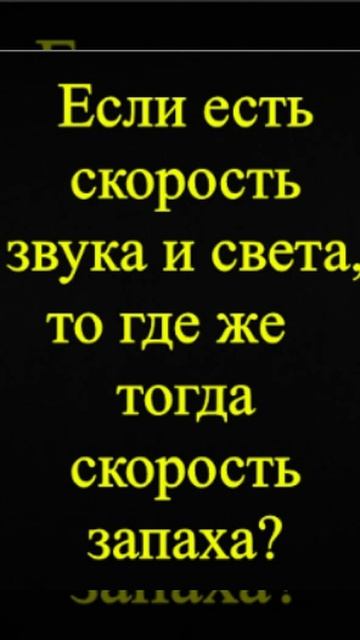 Мозгоправ самоубился. Книга первая. Вопрос 89