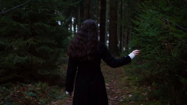 Fraunhofer Diffraction ╺╸ Garden of Thorns (720p_24fps_H264-128kbit_AAC)