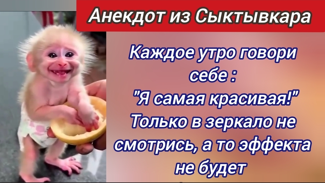 Анекдот из Сыктывкара 😜