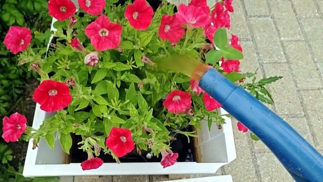 ПРОТИВ ШЁРСТКИ ОЙ КАК НЕ НРАВИТСЯ!!!