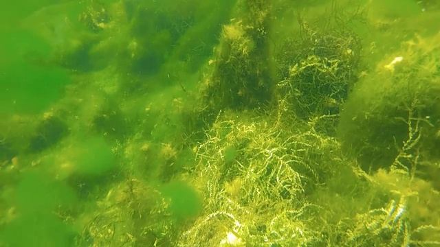 Арсёновский карстовый источник