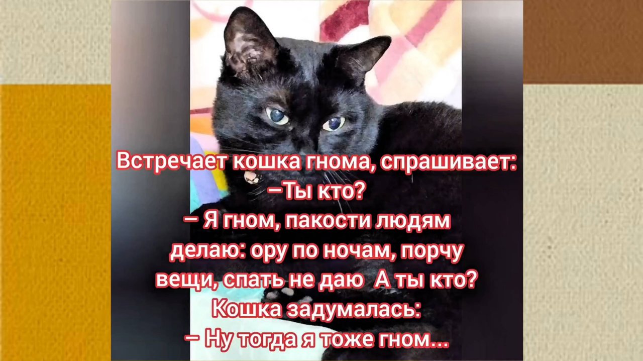 Подборка юмора для настроения.