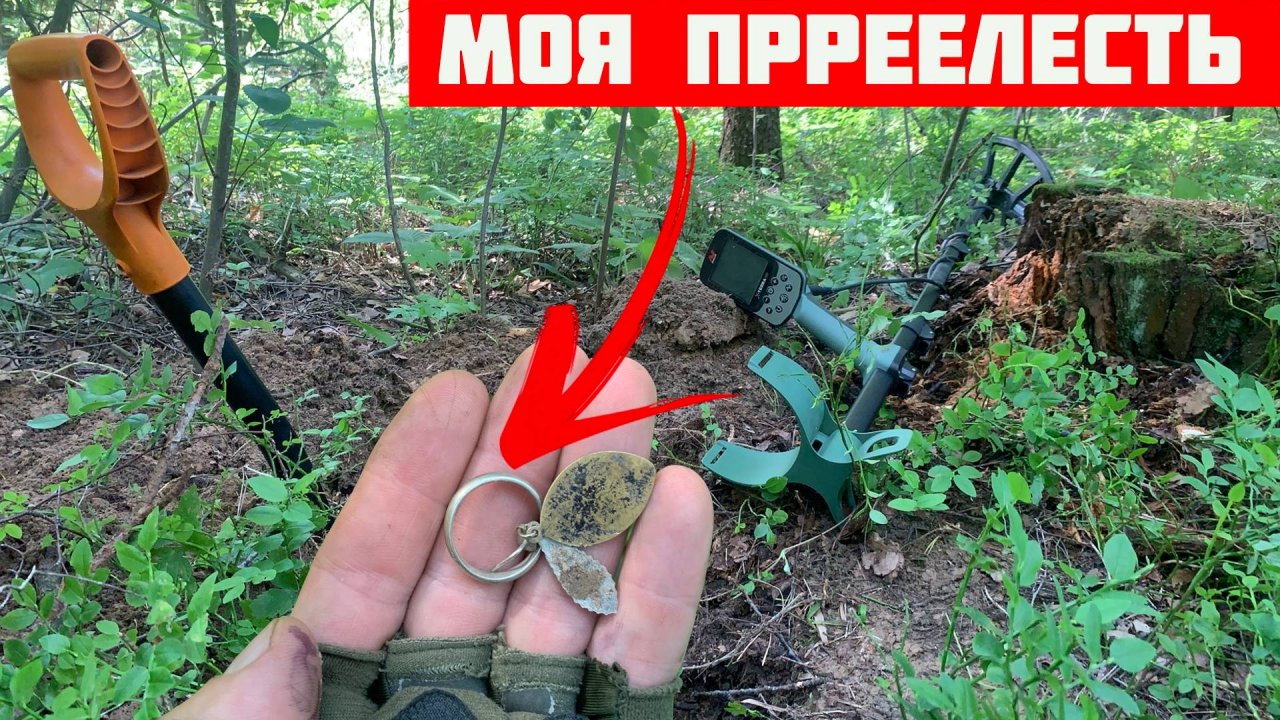 Нашёл Обручальное КОЛЬЦО в черничнике с Металлоискателем
