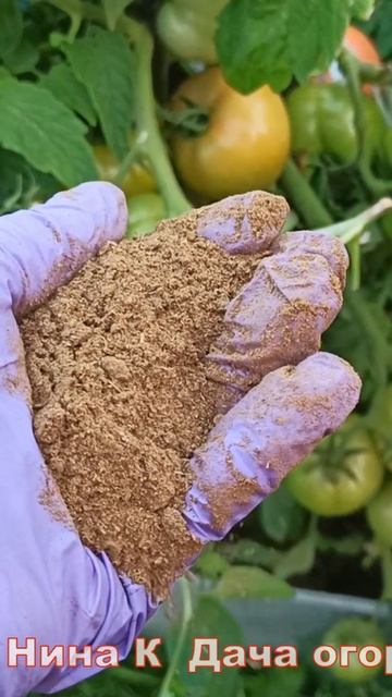 Слизни этого боятся 100%. Избавляемся от слизней в огороде