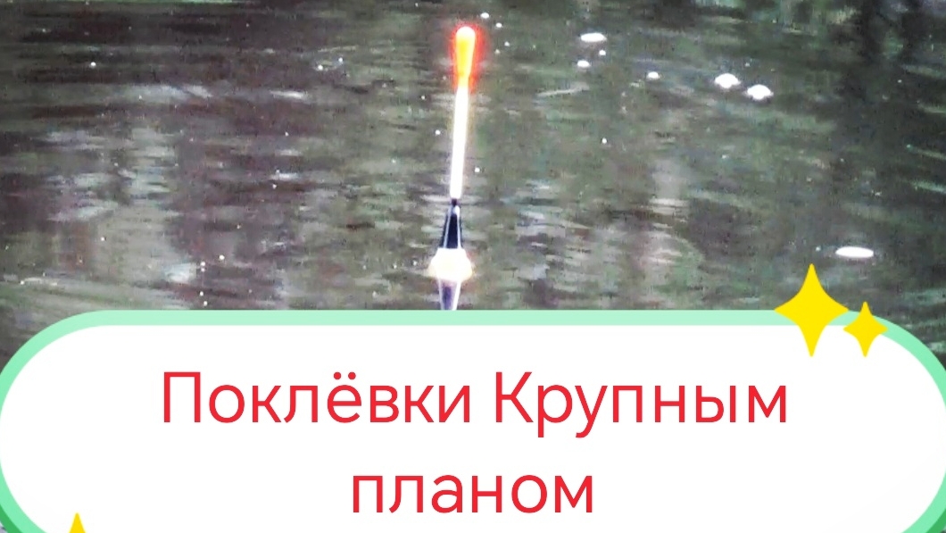Рыбалка на Поплавок Крупный План 1.