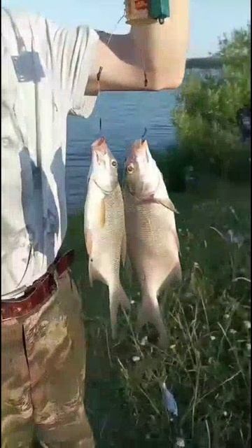 😍 Выходные в деревне! С ночёвкой в Тамбаре! (ч.1) 😄🥰🤪