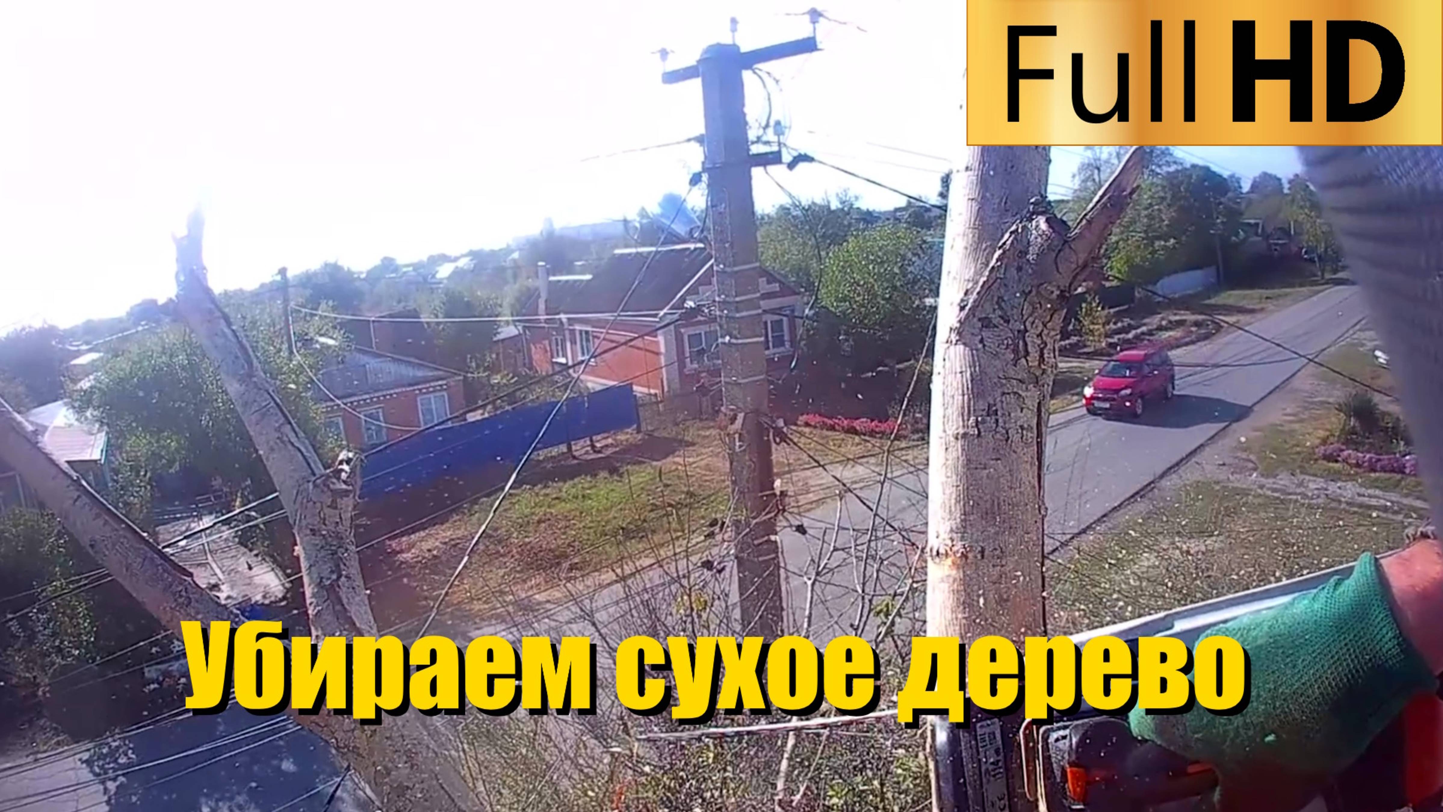 Убираем старое, аварийное дерево, которое могло представлять угрозу