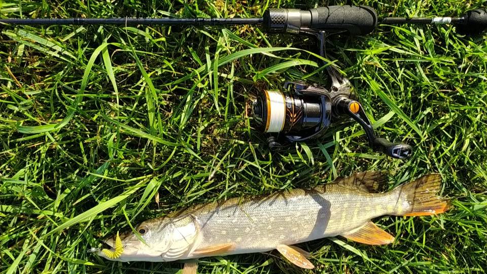 НАНО-ДЖИГ. Приток Десны, утром 18 июля 2025 года