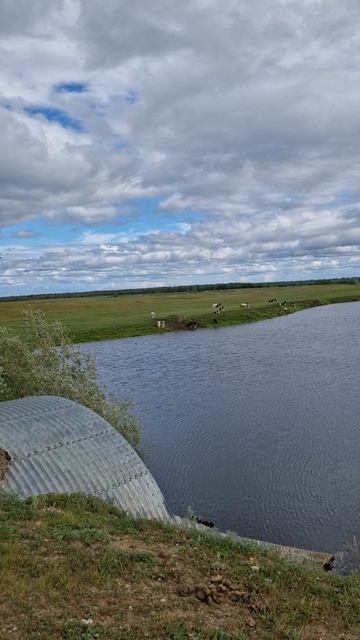 18 июля 2025 года. Очень высокая вода возле Техтюрского моста.