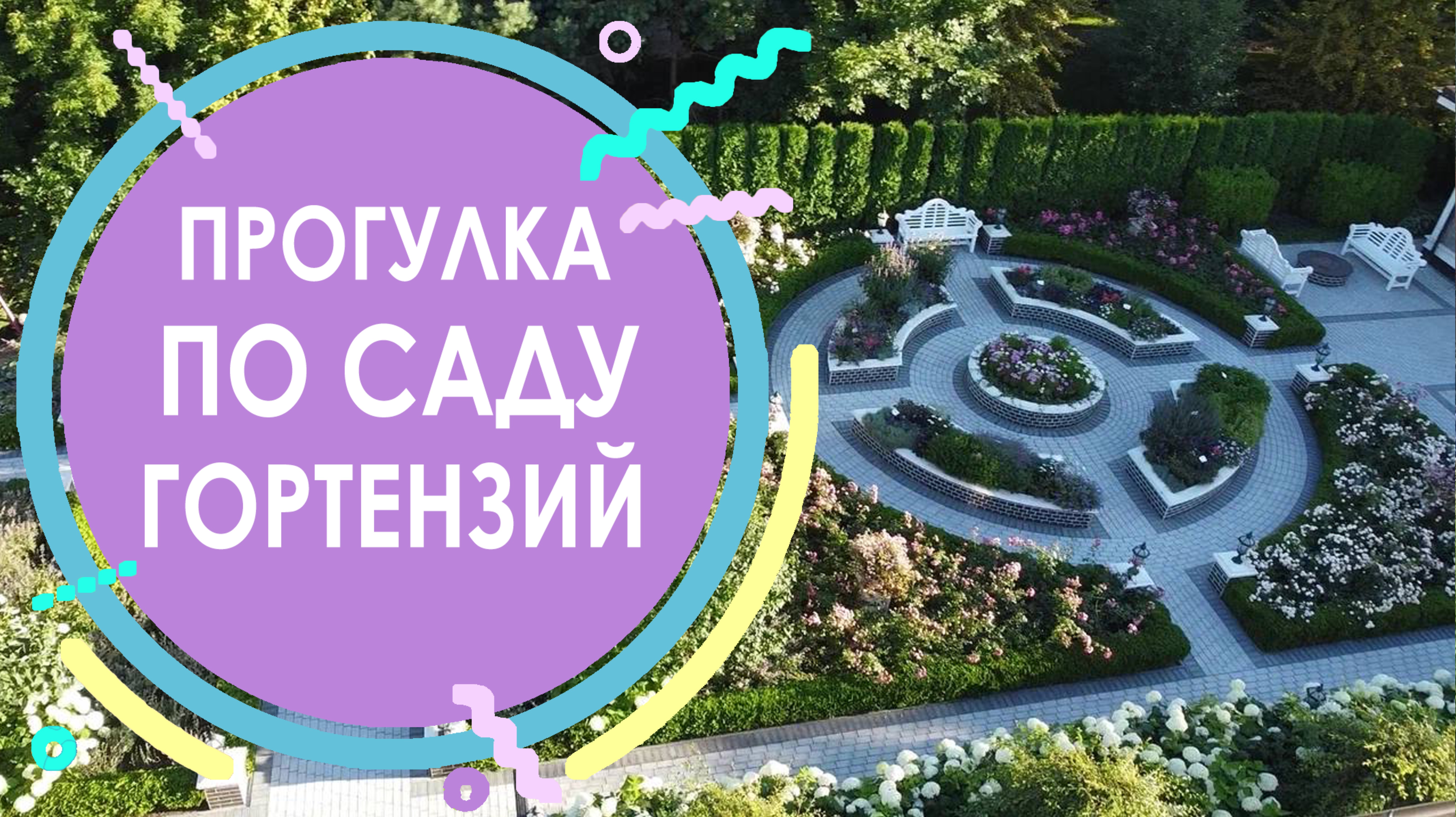 Прогулка по саду гортензий