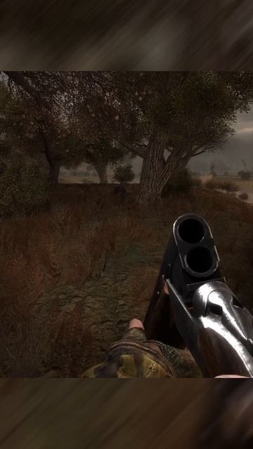 НУ И ЛАДНО | СТАЛКЕР ВОЗВРАЩЕНИЕ В ЗОНУ