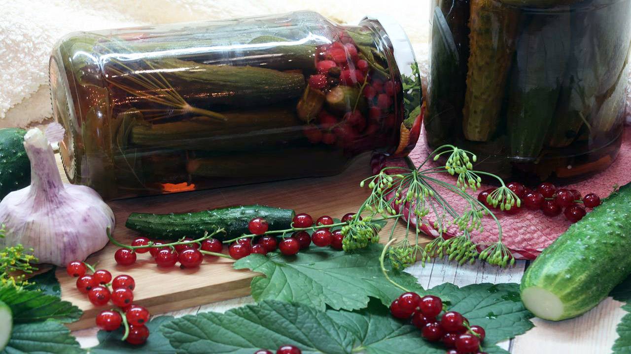 Маринованные огурцы с красной смородиной на зиму