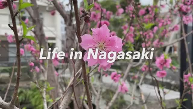 Жизнь в Нагасаки - Жизнь  в старинном доме на холмах Нагасаки, Япония (Март 2025)