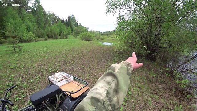 Утро после ночной грозы. Забрал донки с озёр. Еду домой 6 серия