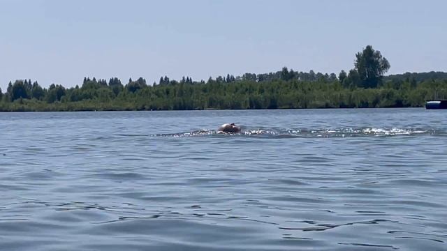 деревня Озеро