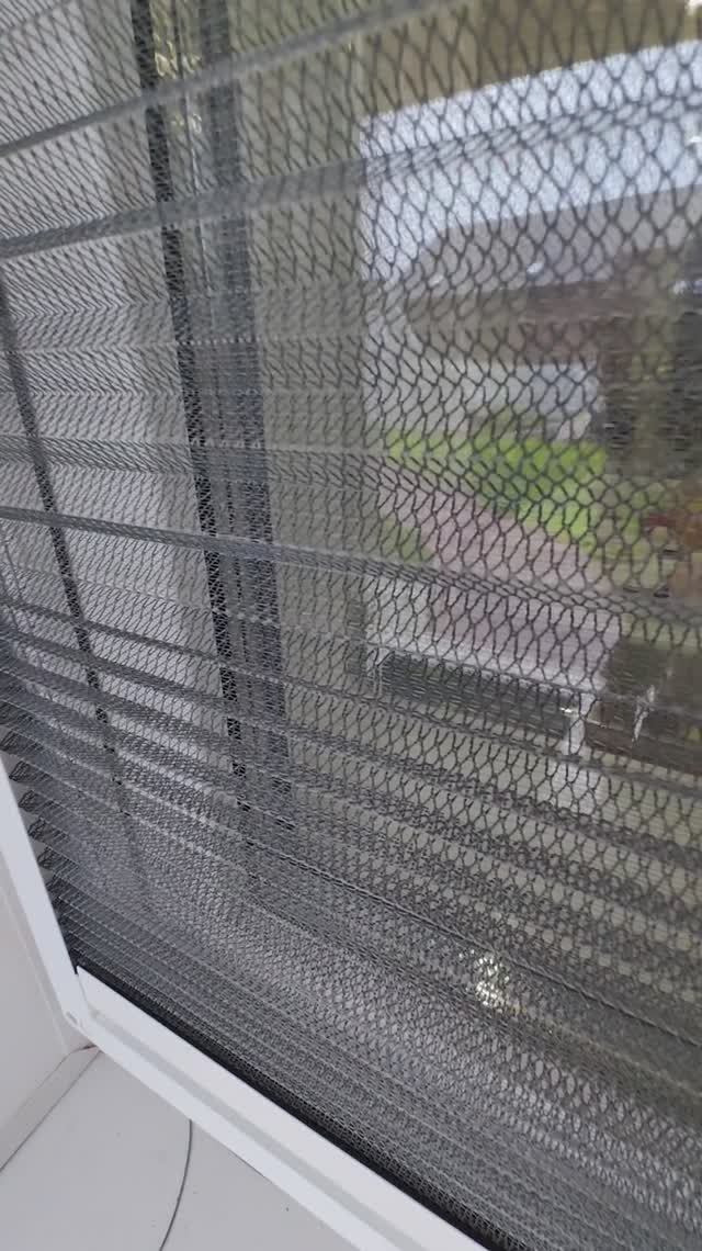 Сетка плиссе Антикошка на окно ПВХ  #москитныесеткиплиссе #москитныесетки #москитныесеткивтольятти