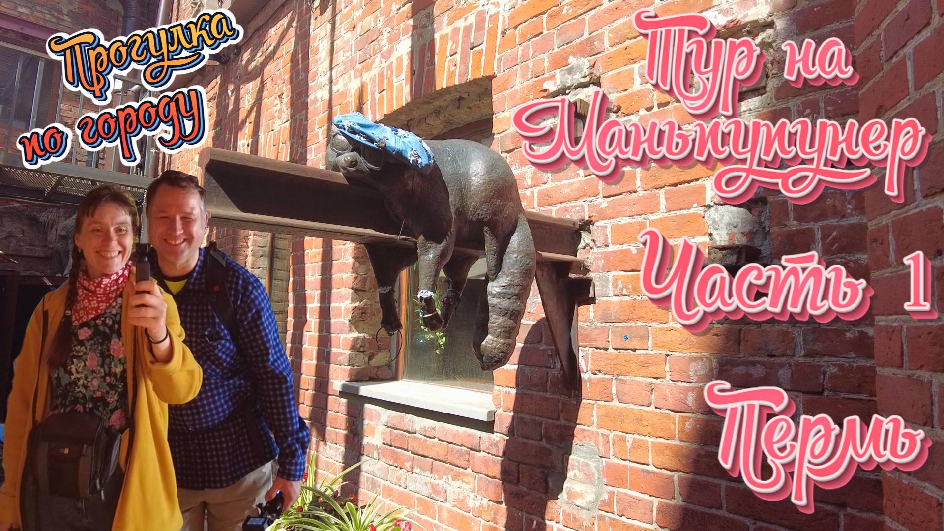 Мы едем на Маньпупунер. Прибытие в Пермь.