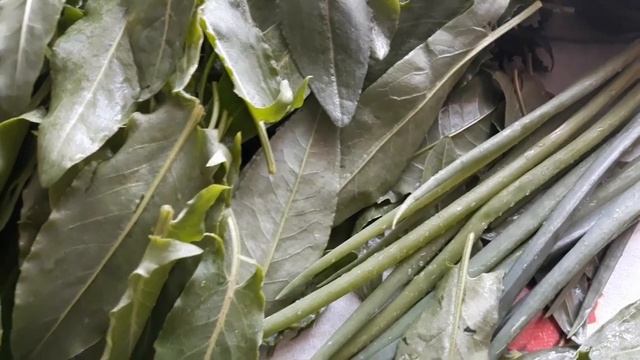 Как заготовить щавель на зиму. Заморозка.