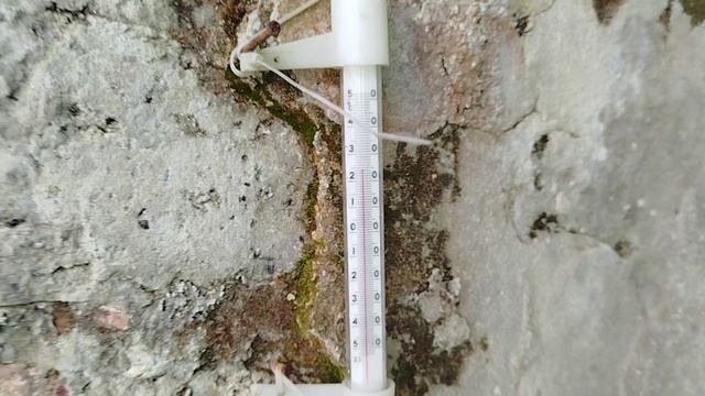 Температура в Абхазии