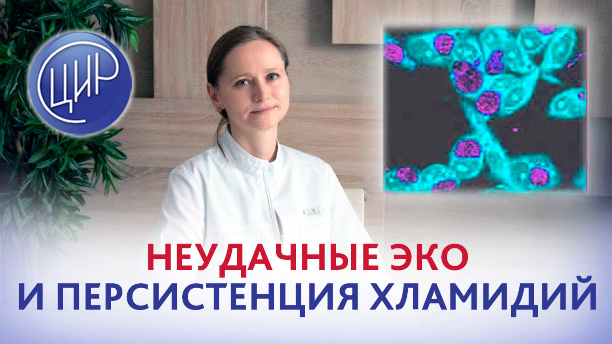 Неудачные ЭКО и персистенция хламидий. Акушер-гинеколог ЦИР Тимофеева О.В.