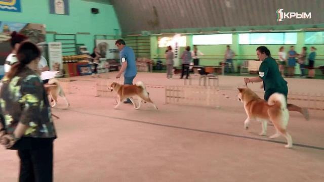 Клуб Шико. Выпуск 19.07.25