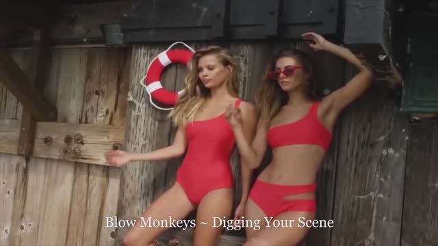 Blow Monkeys ~ Digging Your Scene