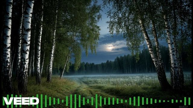 Вероника Тушнова — Утро (Вся ночь без сна).