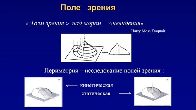 Физиология органа зрения