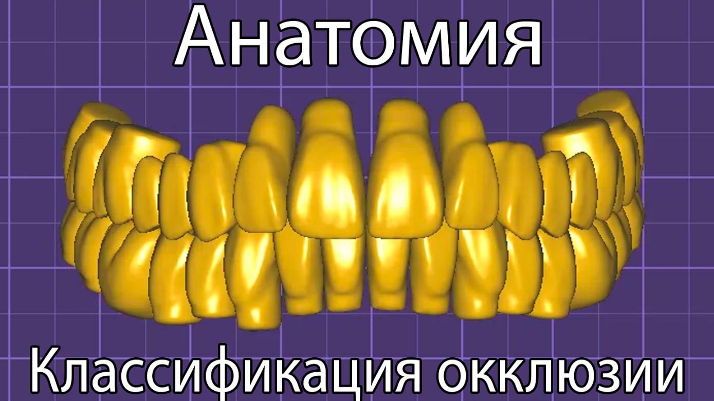 Классификация окклюзии