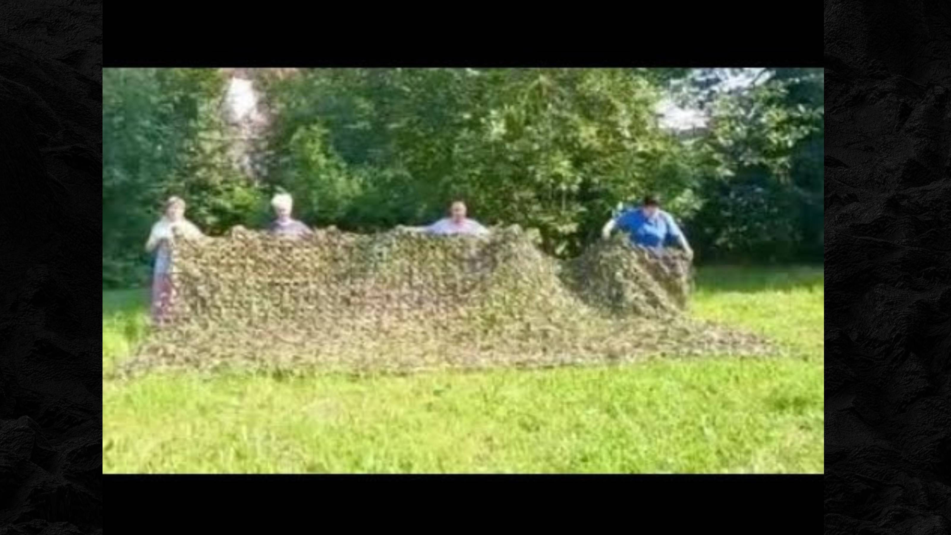 ВСЕМ МИРОМ...видео от 21 июл. 2025 г.