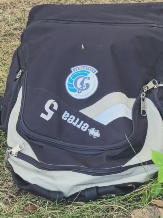 Лето, Краснодар и «Динамо»