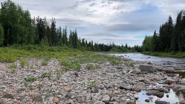 СУП 2025. 6 видео из 8.