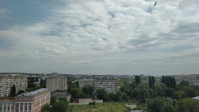 Саратов 21.07.25