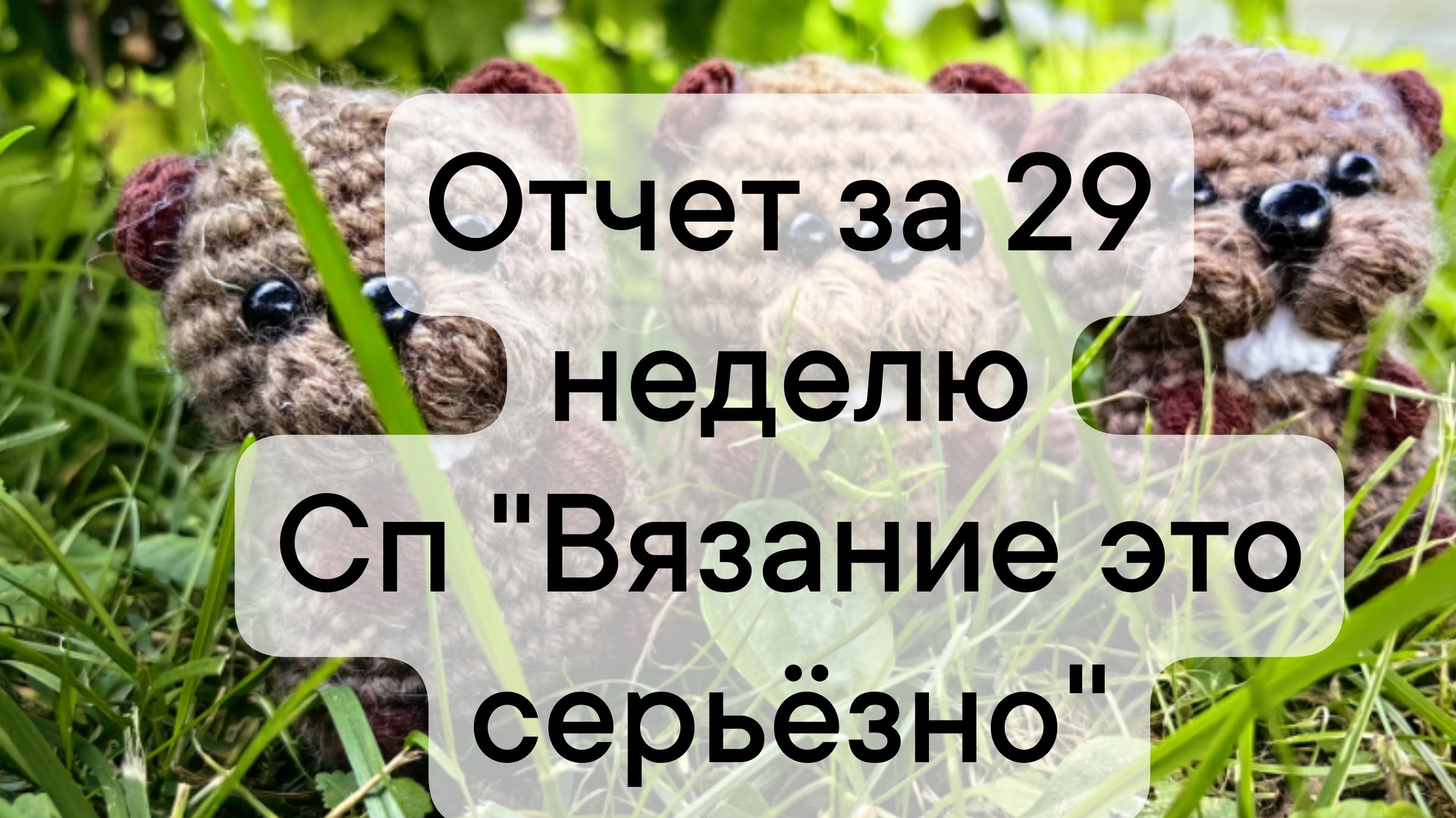 отчет за 29 неделю сп Вязание это серьезно