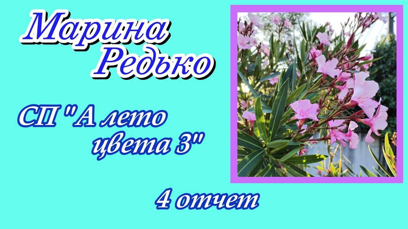 СП "А лето цвета ... 3" / 4 отчет / Участник 35