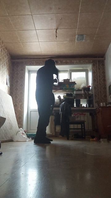 Very Nordic Ninja: Heron Wing (21.07.25) Крайне Северный Ниндзя: Крыло Цапли #VeryNordicNinjaLavinA