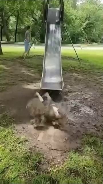 С детства научился доводить дело до конца 😂💪