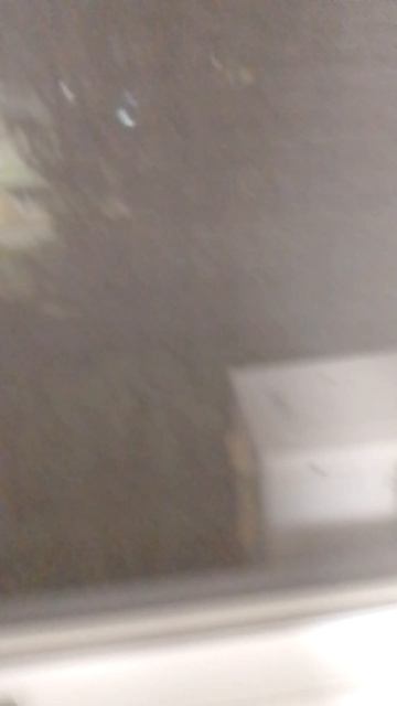 паша невс дождь 2 часть