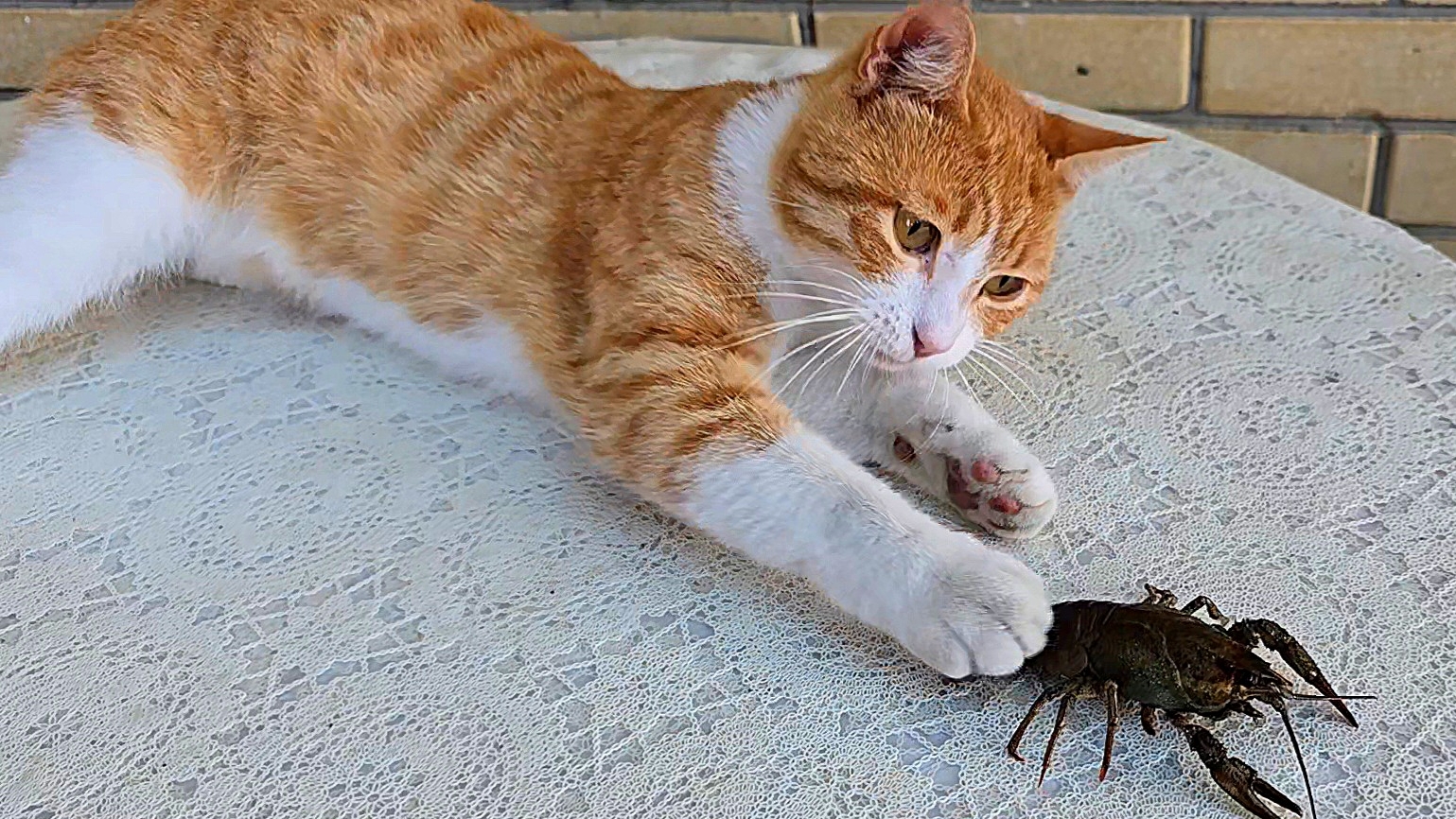 ✨️Иногда полезно расслабиться✨️Сбор 🍅✨️О картофельном салате и Ассорти ✨️