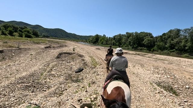 Возвращение на конях