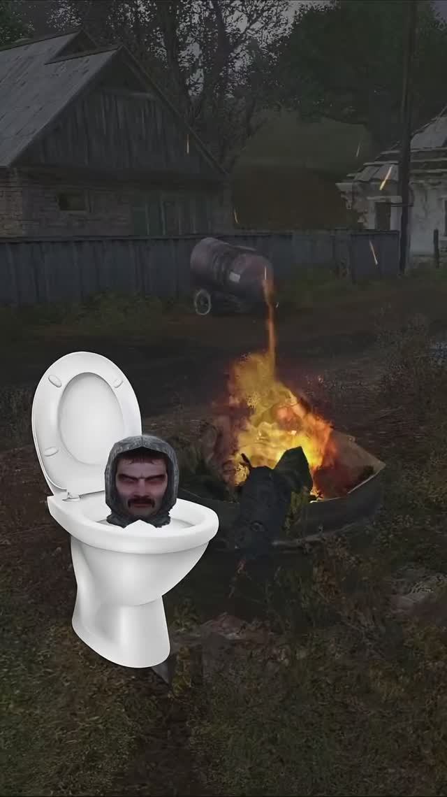 Скибиди Волк в игре STALKER Тень Чернобыля