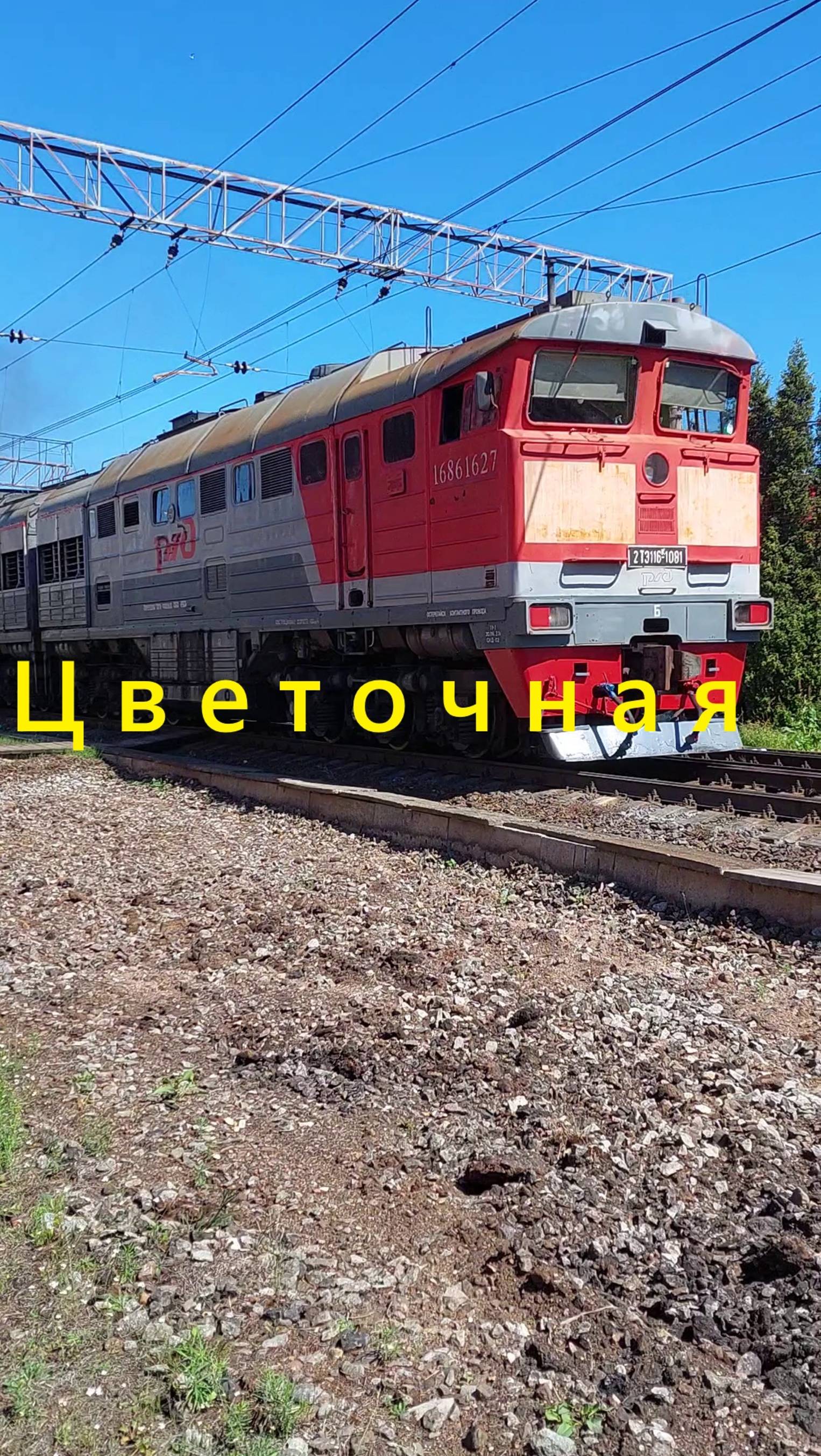 Лучшее вертикальное видео со станции Цветочкая