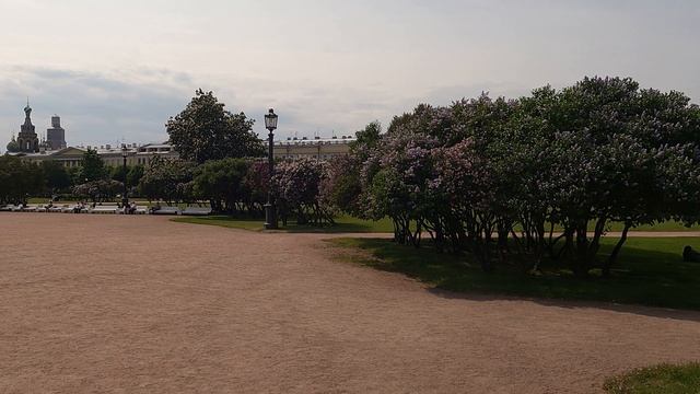 МАРСОВОЕ ПОЛЕ В ПИТЕРЕ  2025