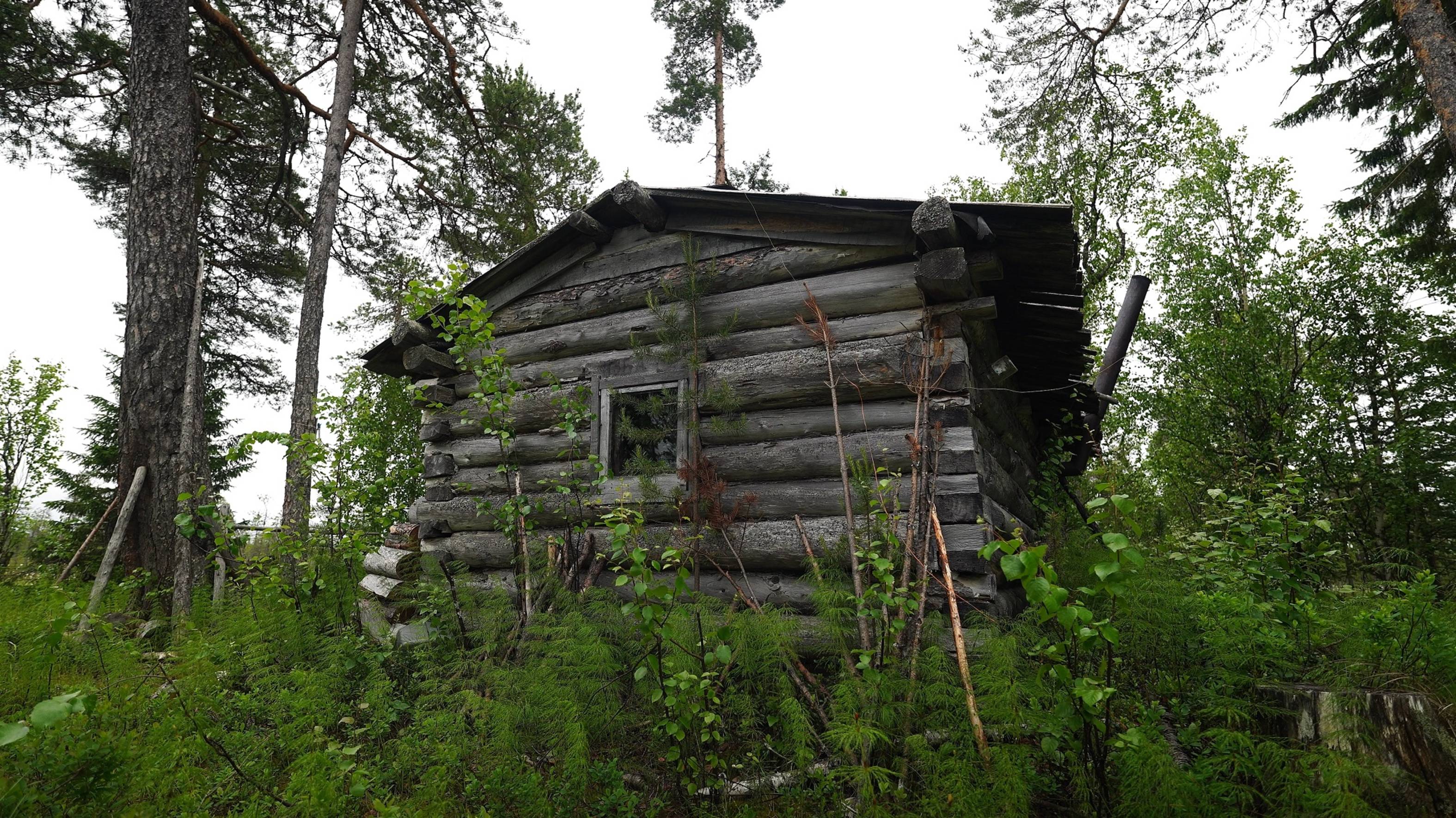 Хариус на каждый заброс. Попал в сильный дождь. Огромный окунь и плотва на мушку.