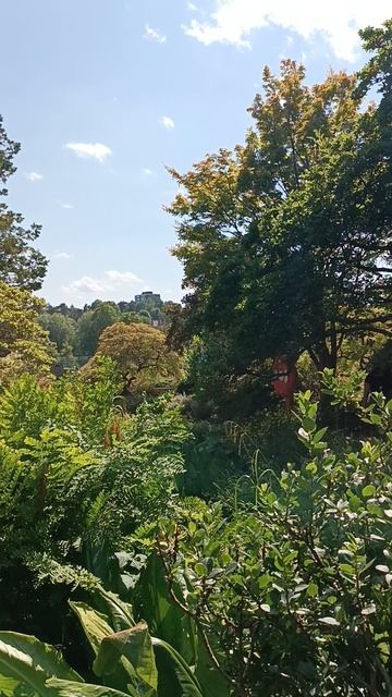 Тропический сад, Ботанический сад, Бирмингем (Tropical Garden, Botanical Gardens, Birmingham, UK)
