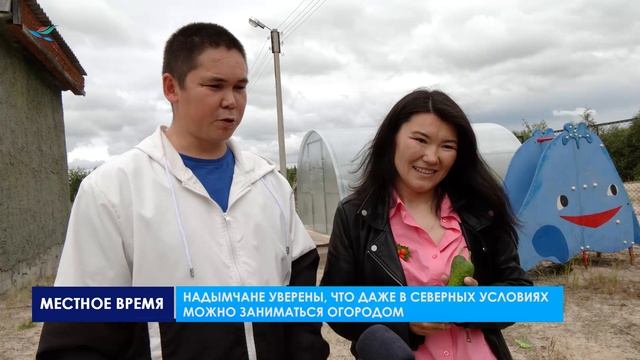 Надымчане собирают урожай овощей