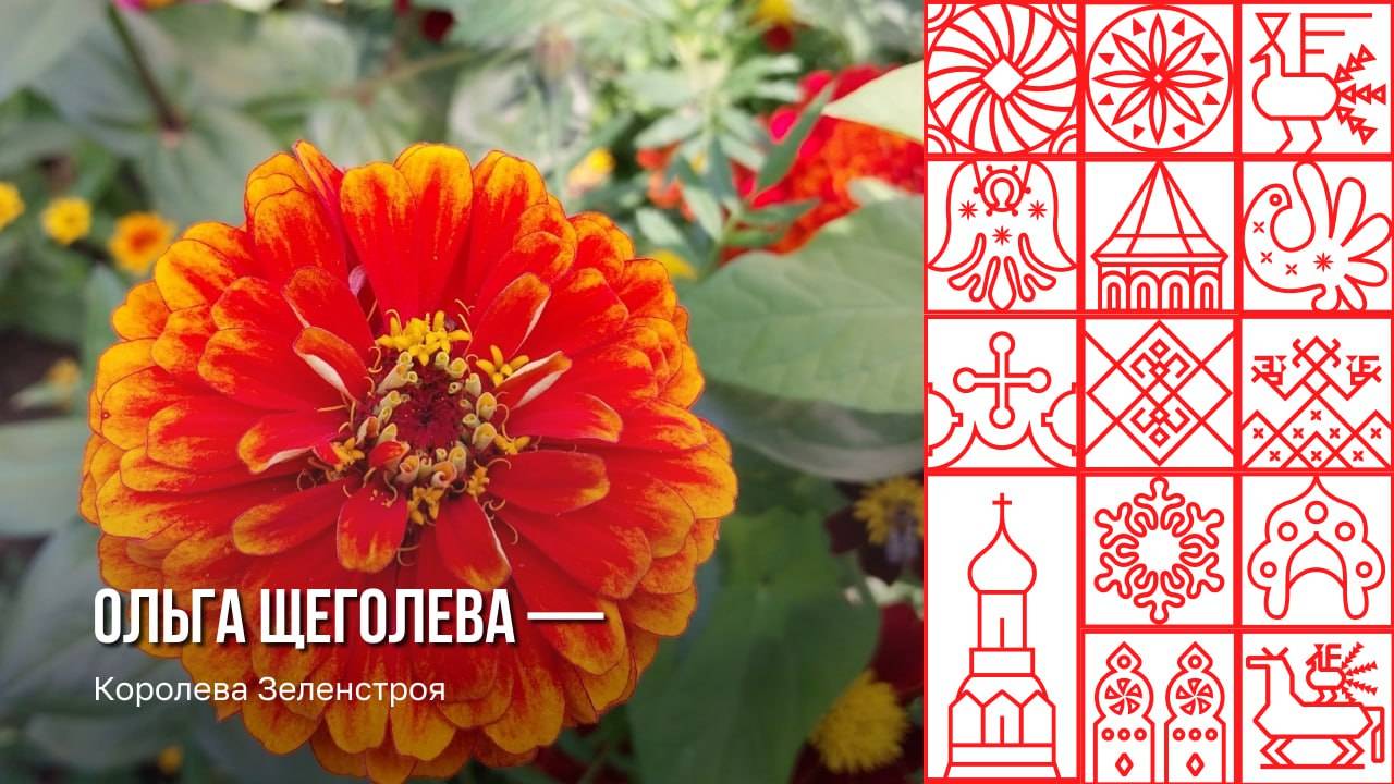 Семена декоративных растений впервые собирают череповецкие озеленители в скверах города