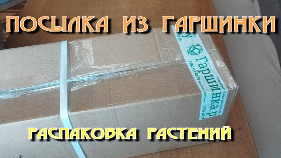 ПОСЫЛКА ИЗ "ГАРШИНКИ". РАСПАКОВКА.